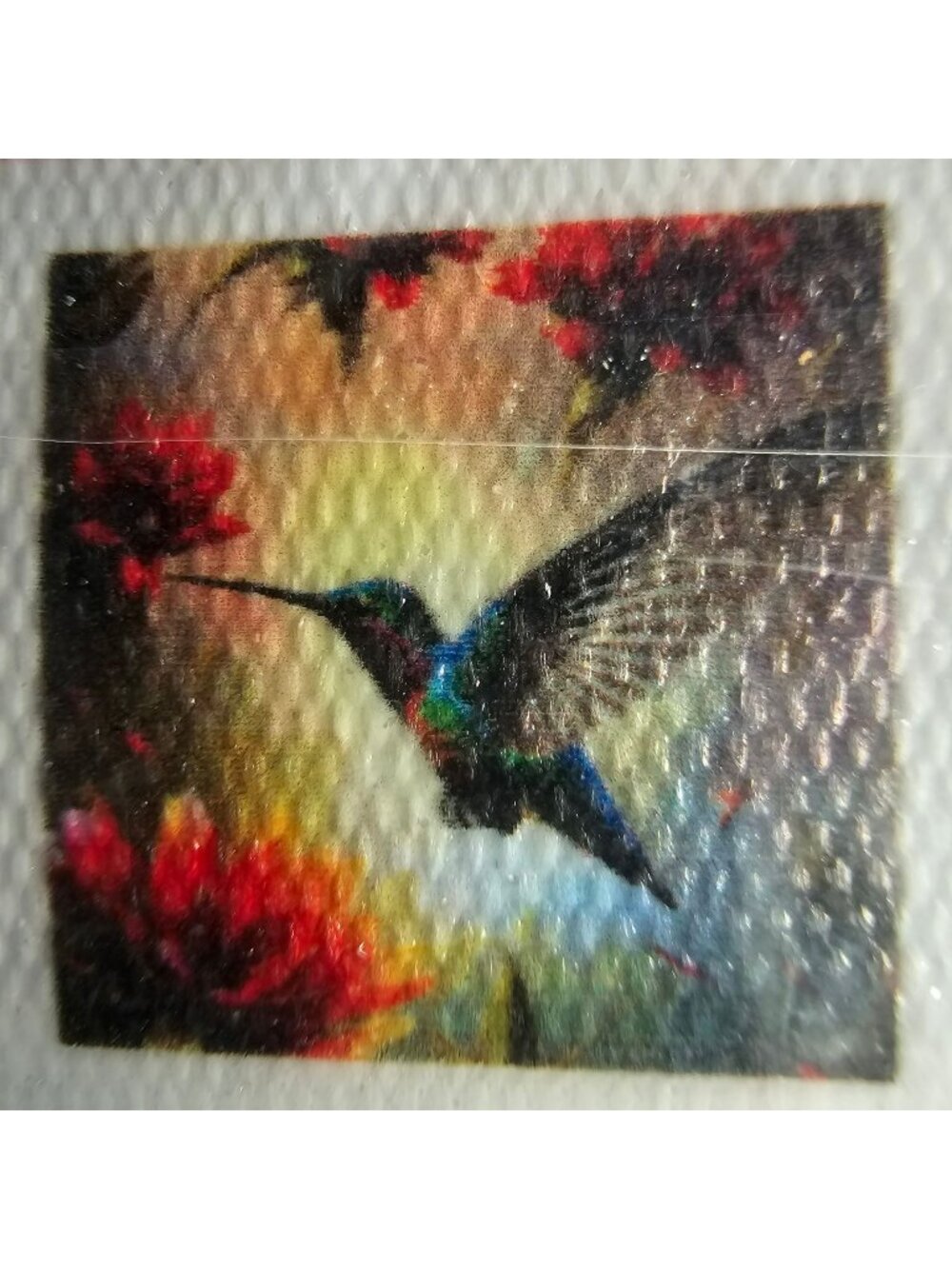 Hummingbird Drinking Diamond Painting Kit w/ Tools 8x8" DIY Art Craft #Y157
